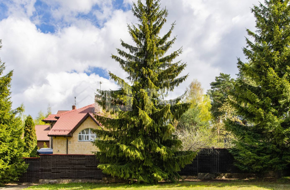 Объект ID 17715 - Дом