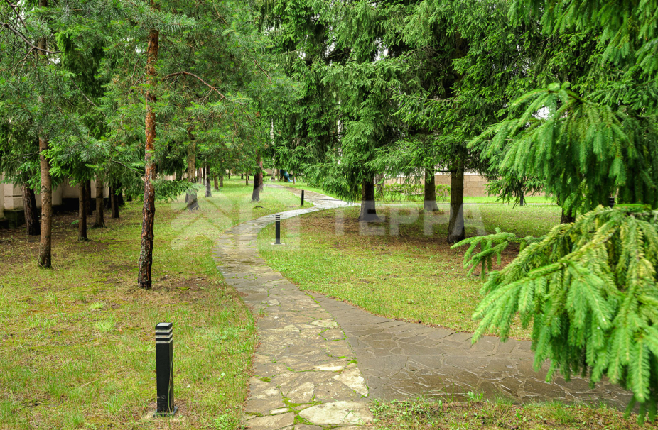 Объект ID 10804 - Дом