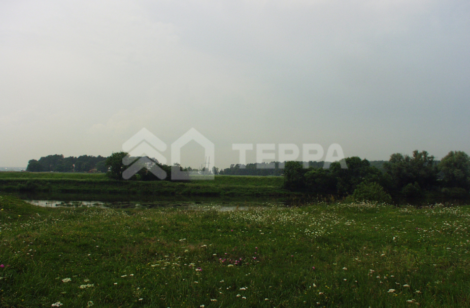 Объект ID 2248 - Участок