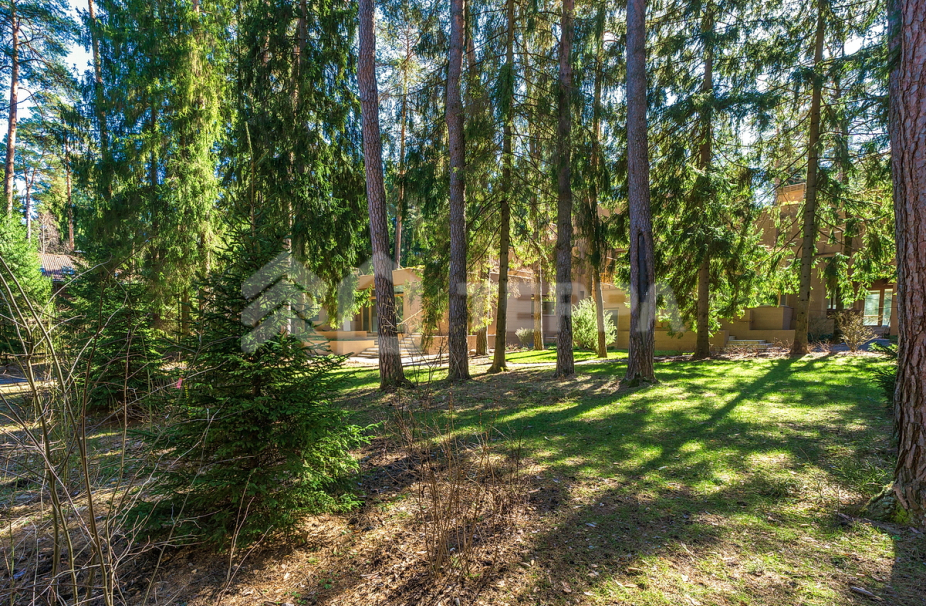 Объект ID 13321 - Дом