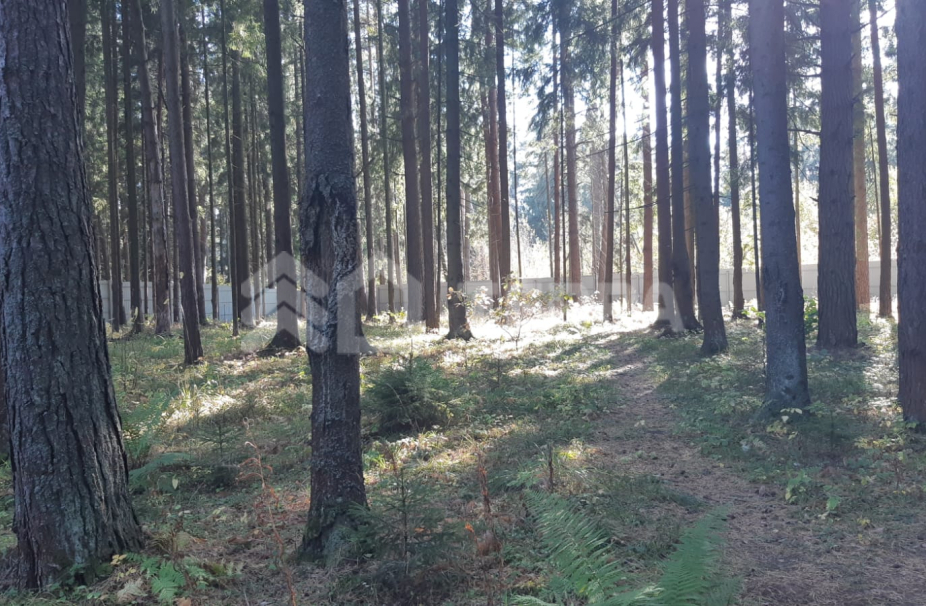 Объект ID 9291 - Участок