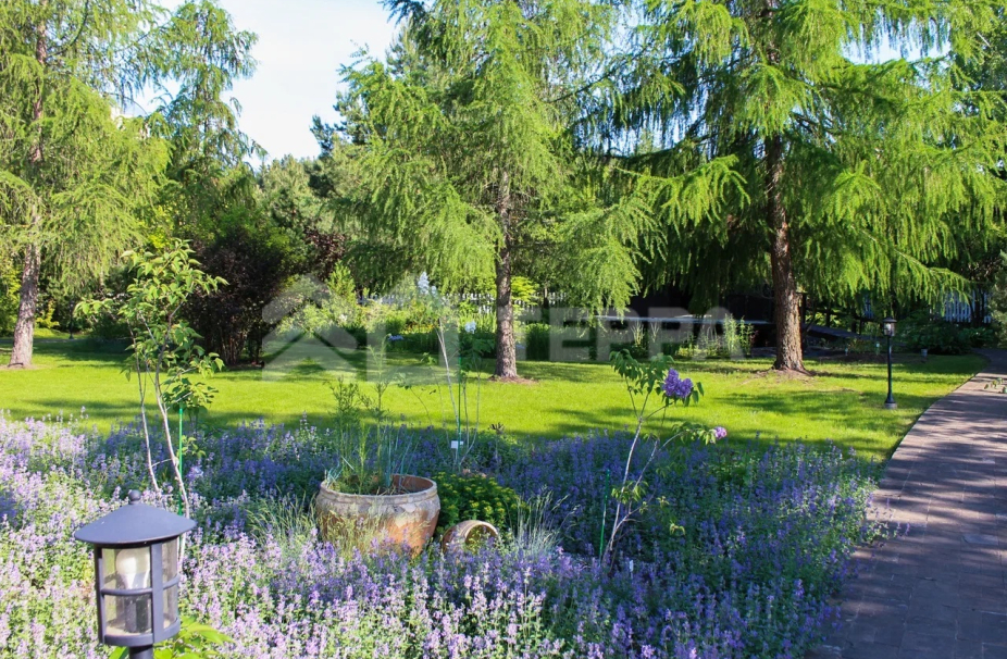 Объект ID 17552 - Дом