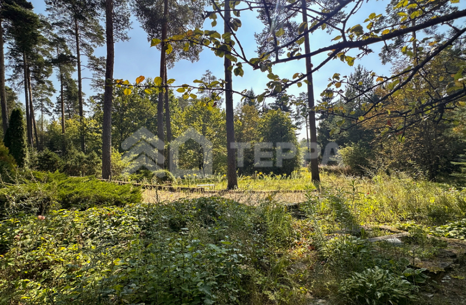 Объект ID 18147 - Участок