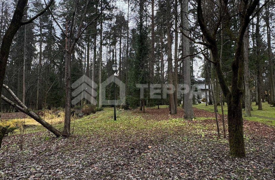 Объект ID 19034 - Участок