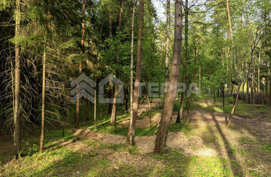 Объект ID 19098 - Участок