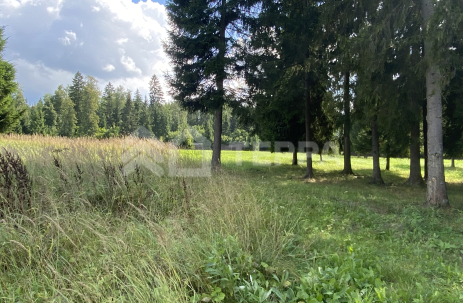 Объект ID 16628 - Участок