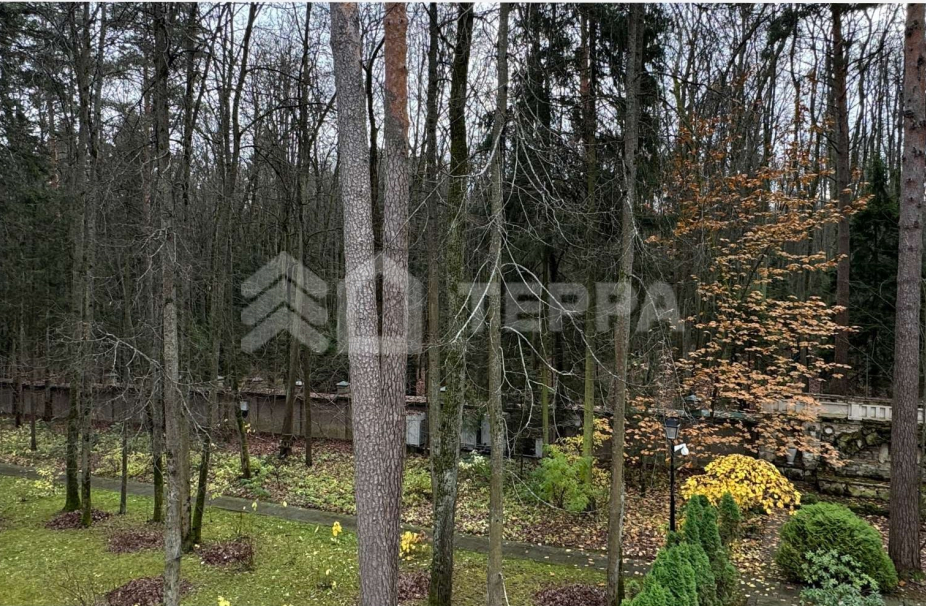 Объект ID 18250 - Дом