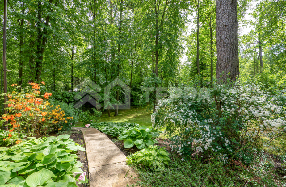 Объект ID 18661 - Участок