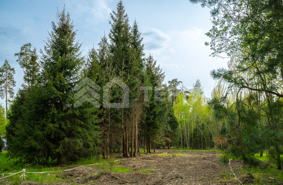 Объект ID 18564 - Участок