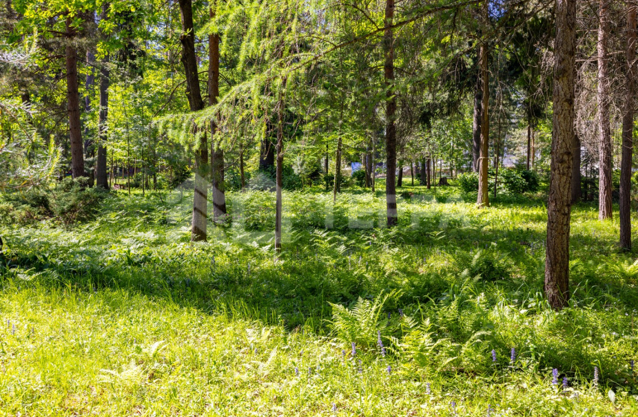 Объект ID 18673 - Участок