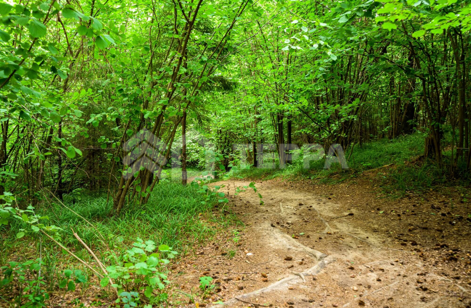 Объект ID 18046 - Участок