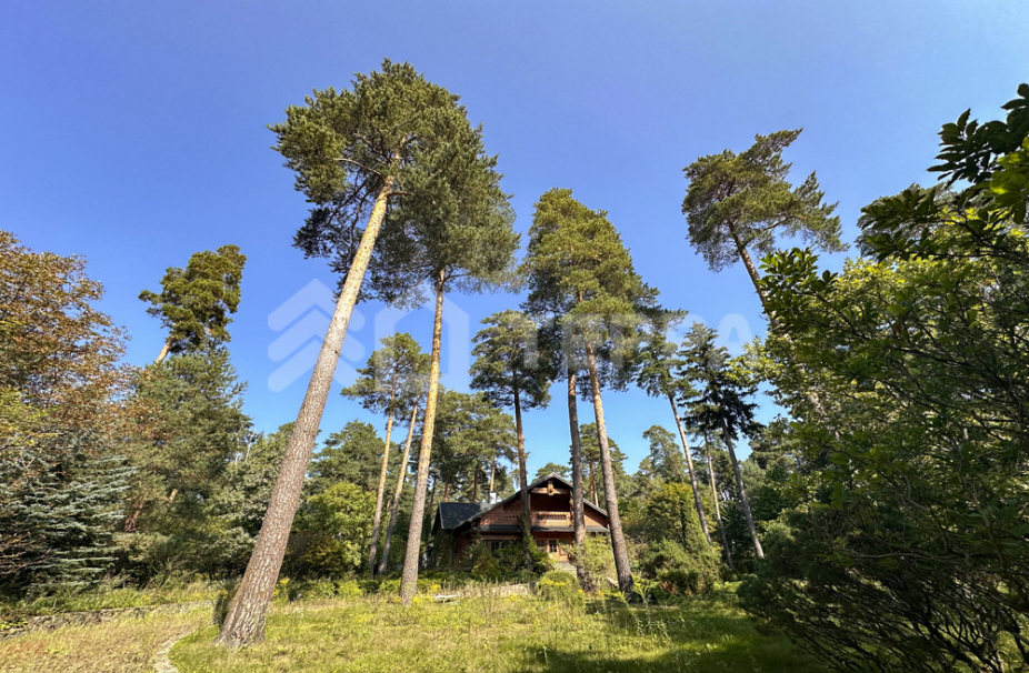 Объект ID 18147 - Участок