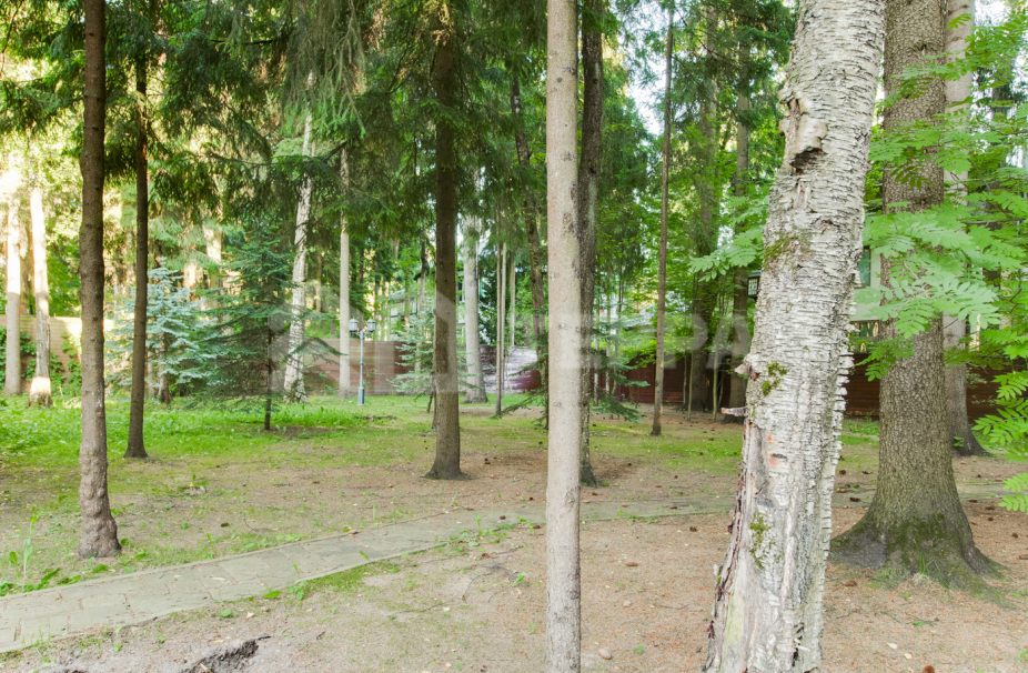 Объект ID 17126 - Дом