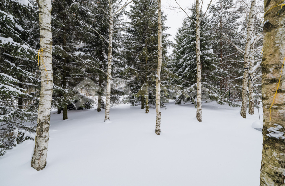 Объект ID 19031 - Дом