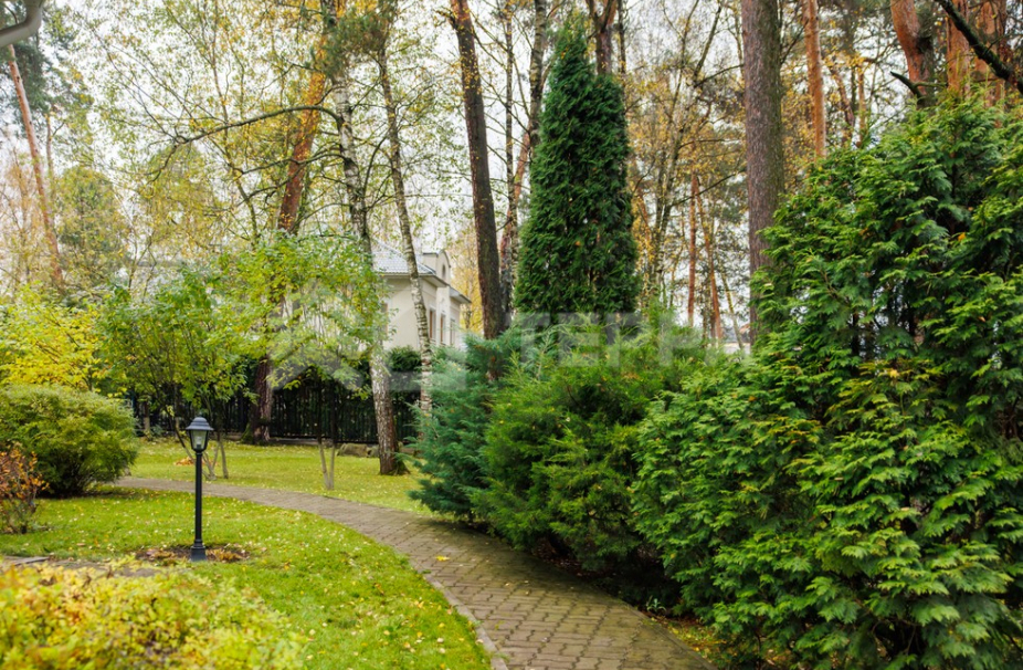 Объект ID 18484 - Дом