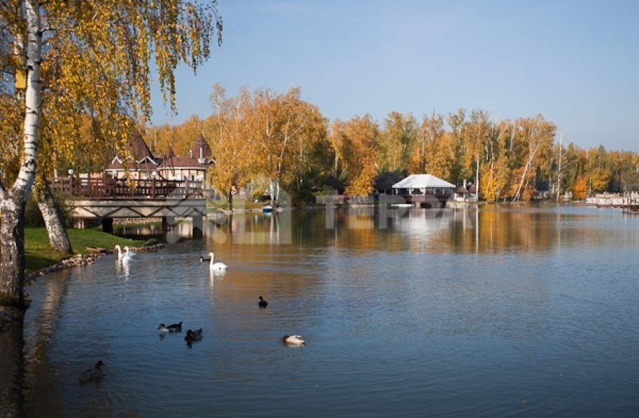 Объект ID 16753 - Дом