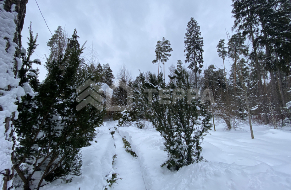 Объект ID 16789 - Участок