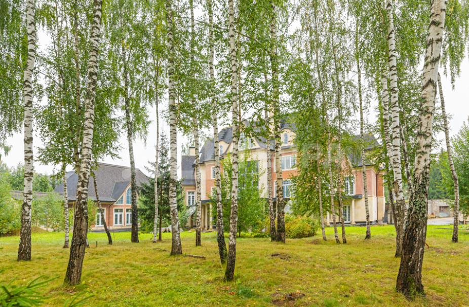 Объект ID 18700 - Участок