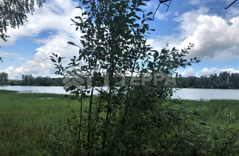 Объект ID 15707 - Участок