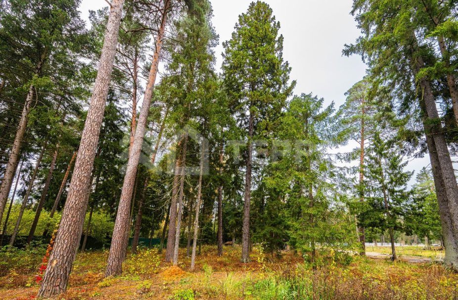 Объект ID 18529 - Участок