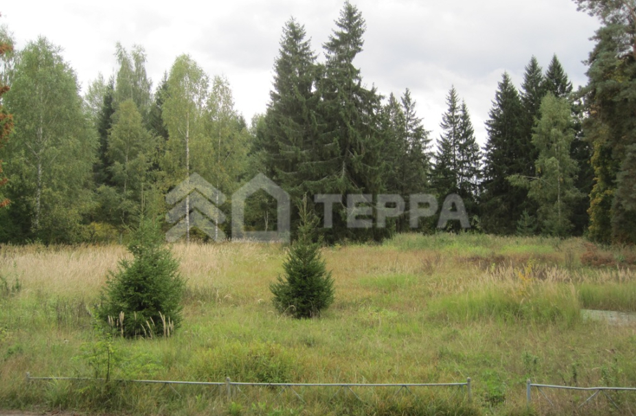 Объект ID 13260 - Участок