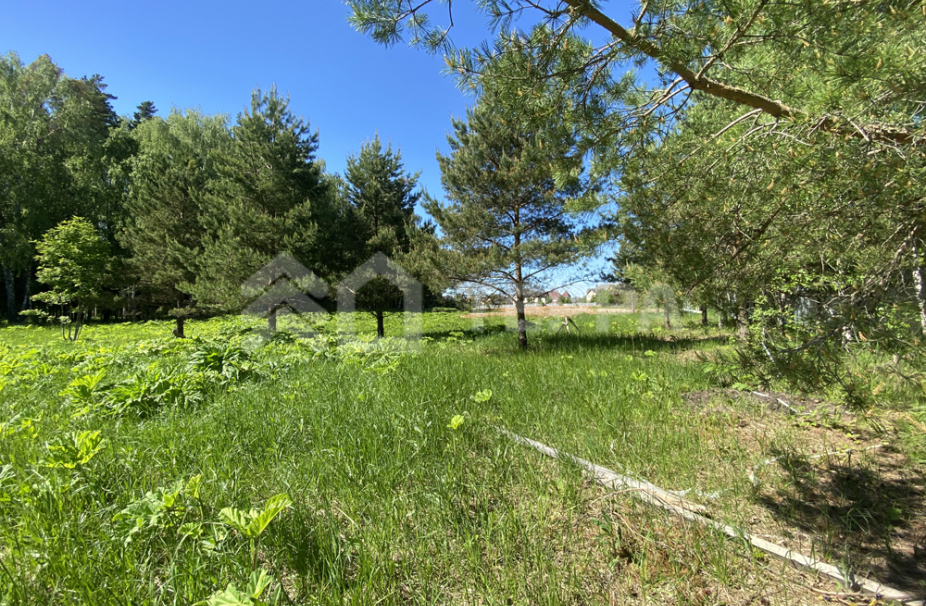 Объект ID 16848 - Участок