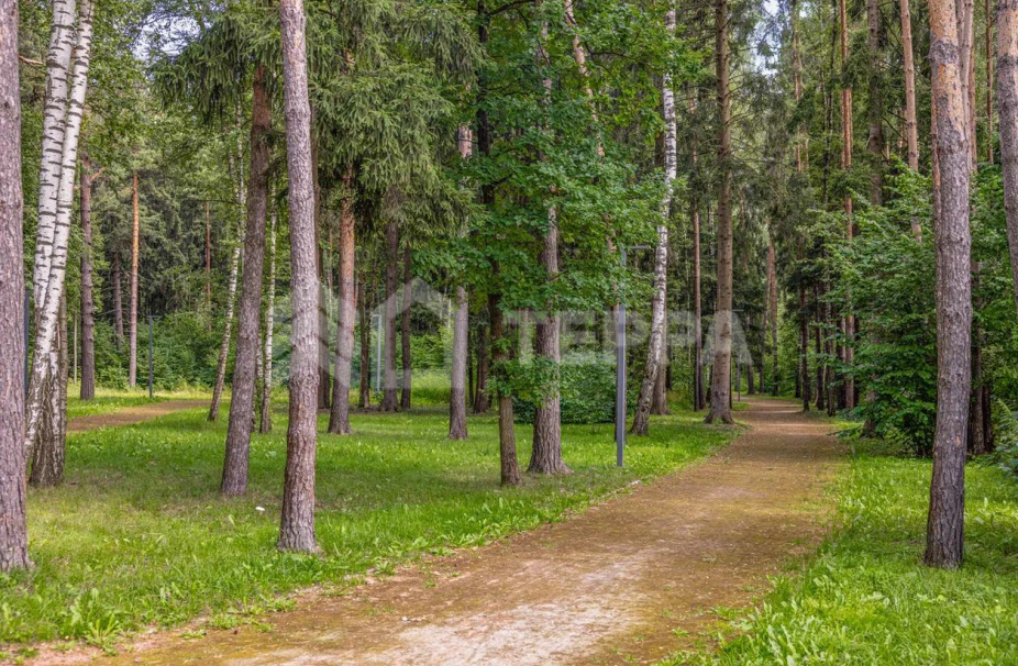 Объект ID 19099 - Участок