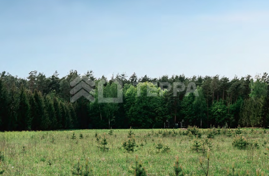 Объект ID 18686 - Участок