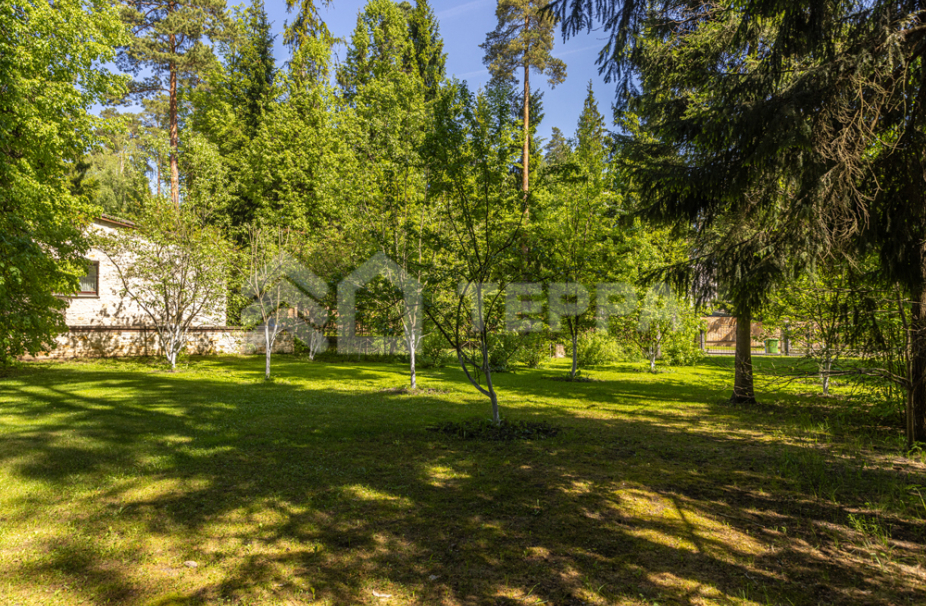 Объект ID 18264 - Участок