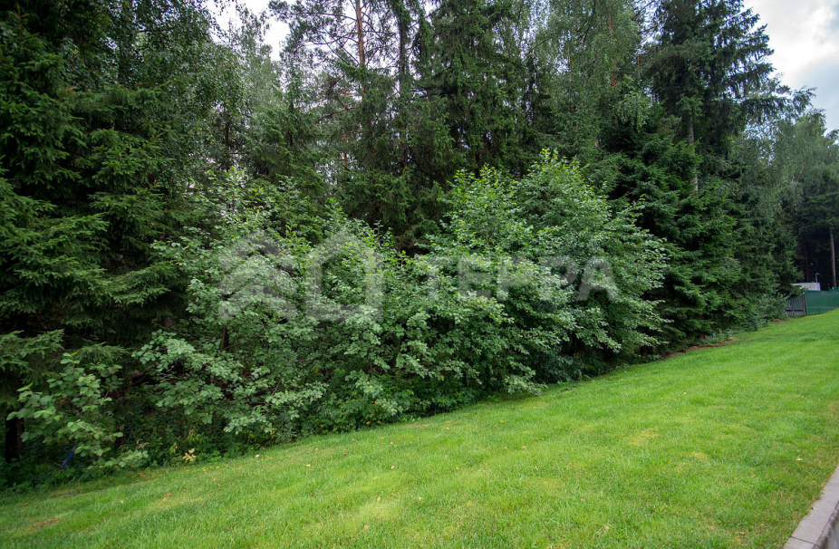 Объект ID 18096 - Участок