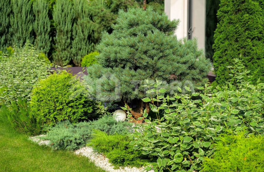 Объект ID 18816 - Дом