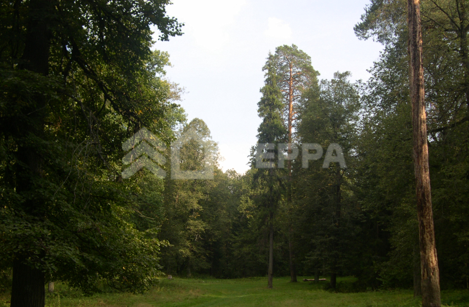 Объект ID 18771 - Участок