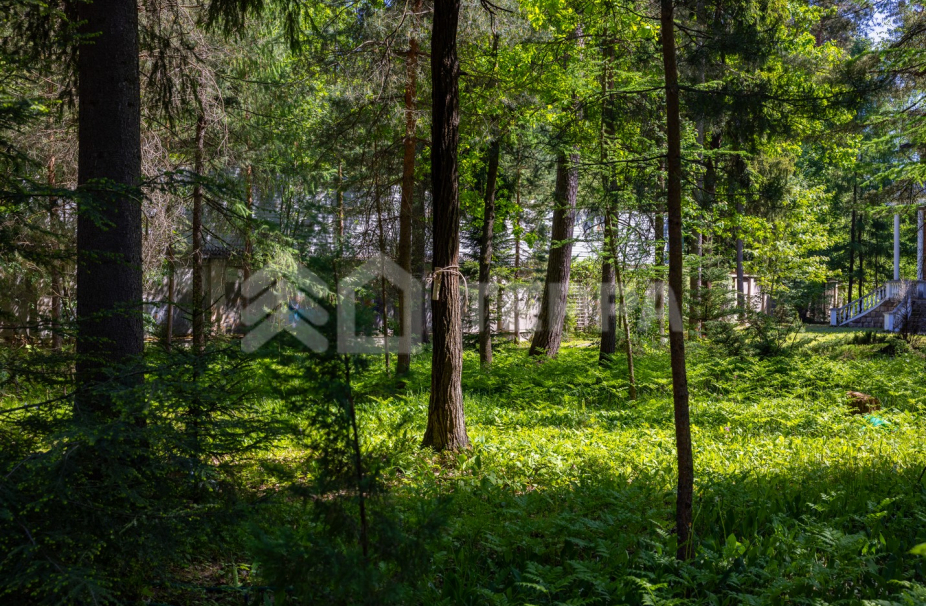 Объект ID 18674 - Дом