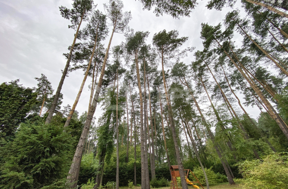 Объект ID 17992 - Дом