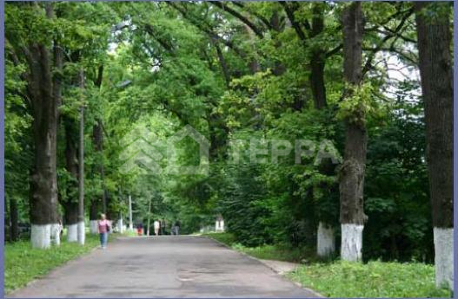 Объект ID 12129 - Дом