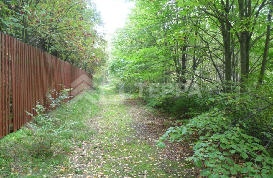 Объект ID 11410 - Участок