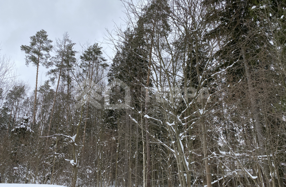 Объект ID 17437 - Участок