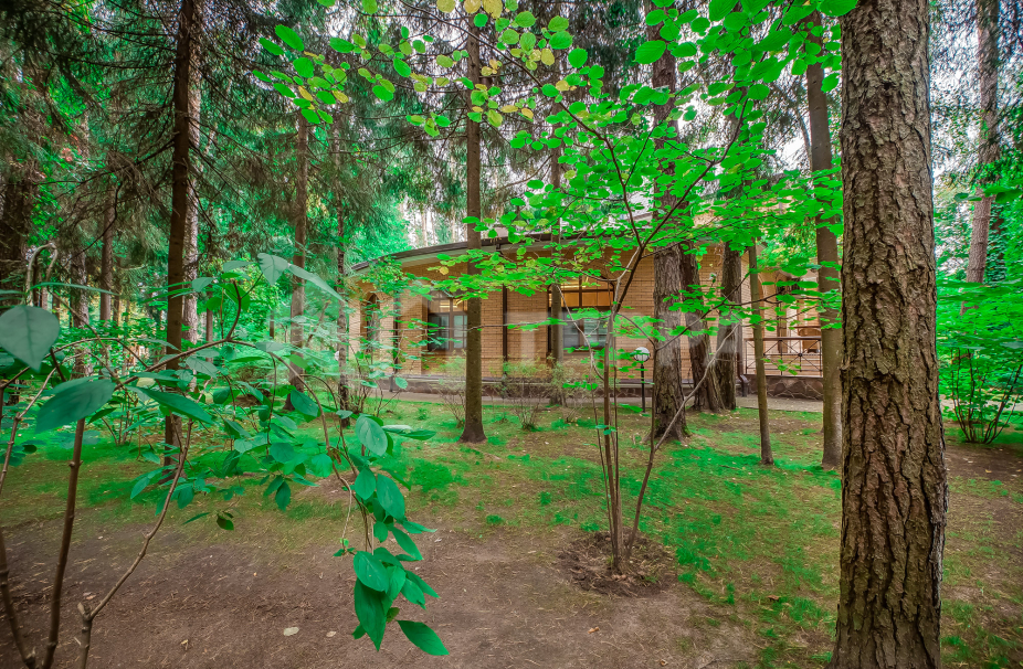 Объект ID 15410 - Дом