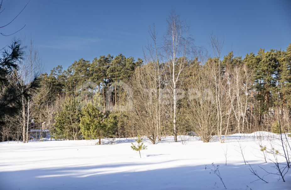 Объект ID 17973 - Участок