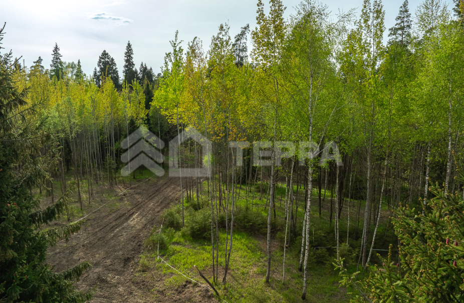 Объект ID 18569 - Участок