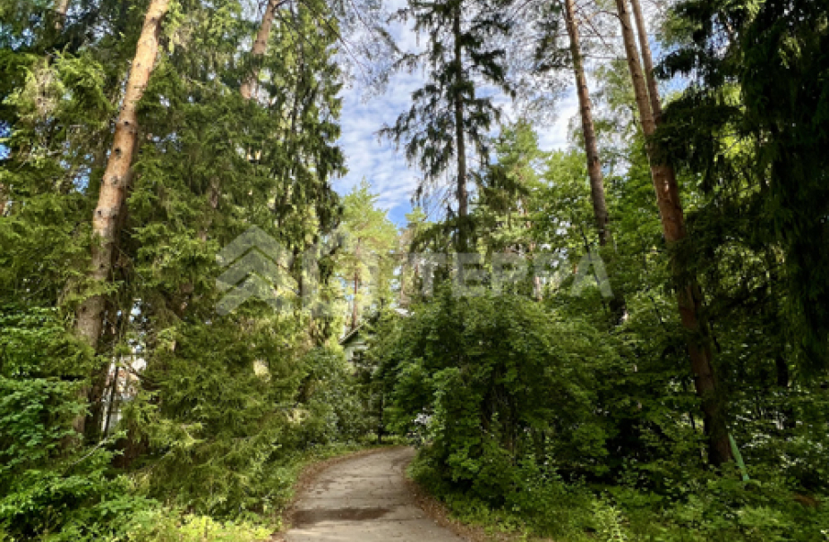 Объект ID 17244 - Участок