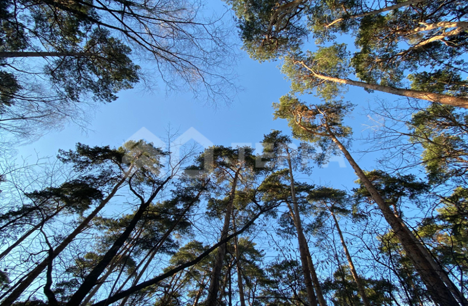 Объект ID 17918 - Участок