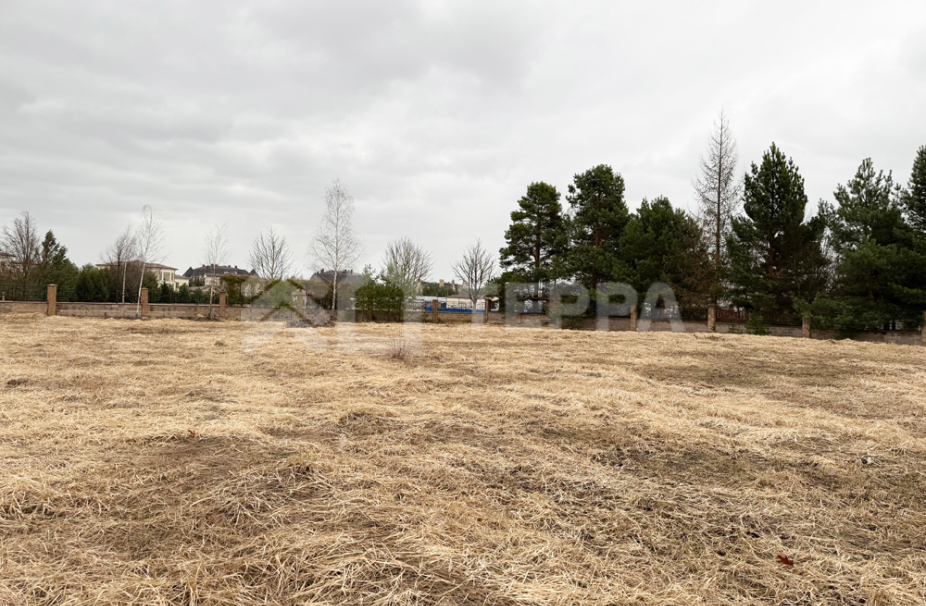 Объект ID 18481 - Дом