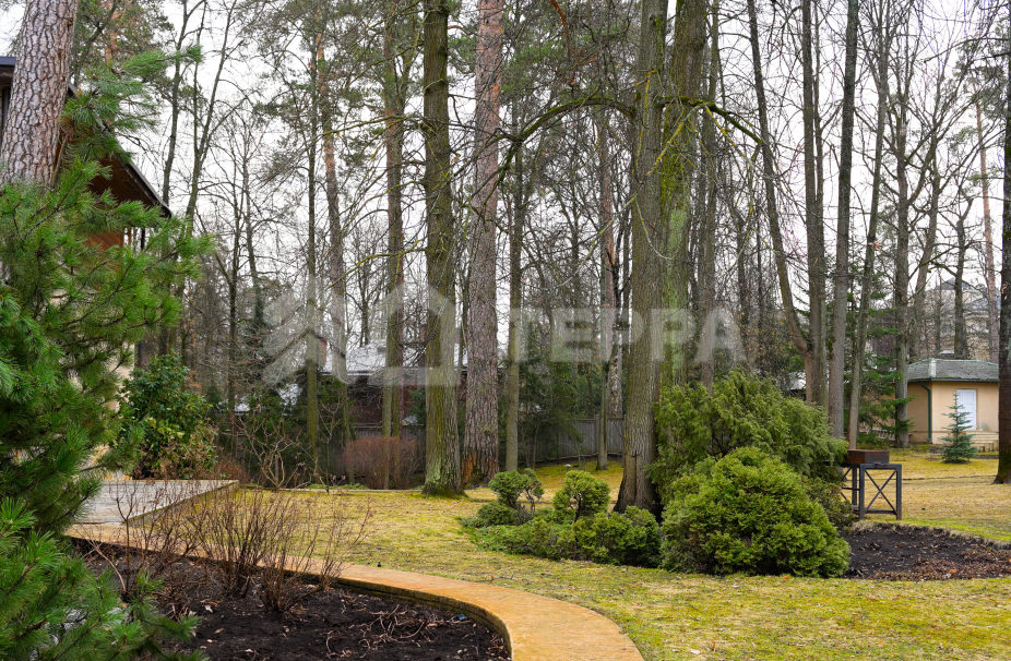 Объект ID 8224 - Дом