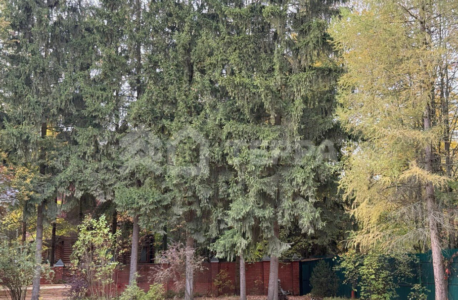 Объект ID 18216 - Участок