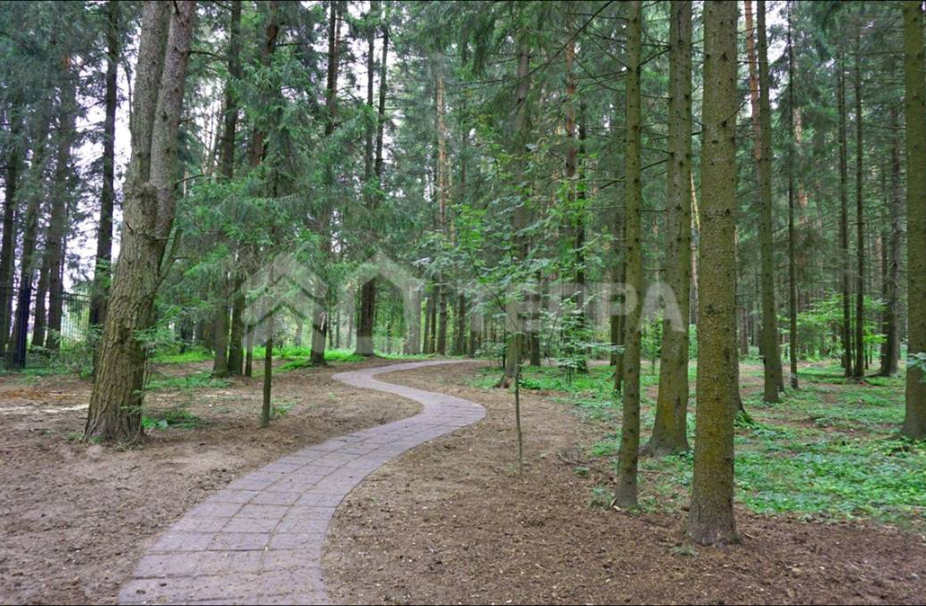 Ренессанс Парк