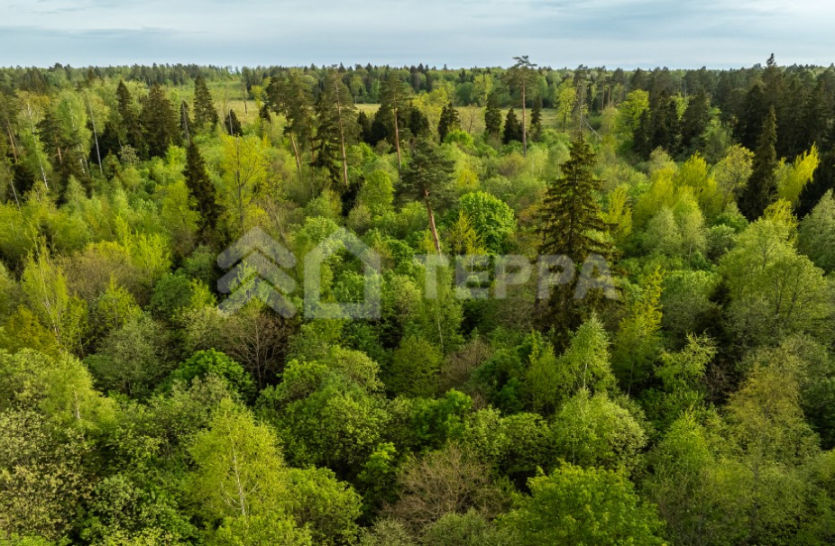 Парк Иславское КП