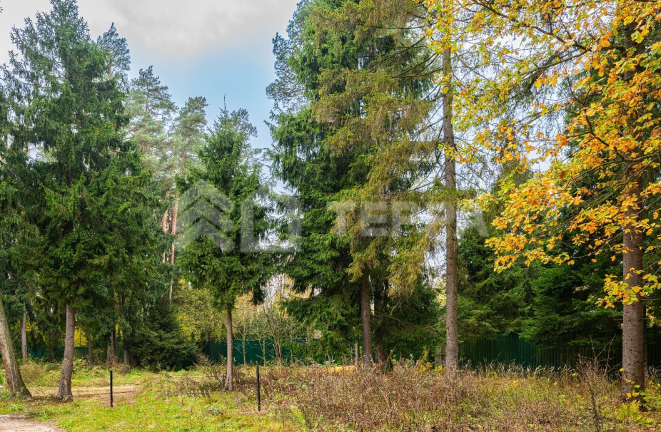 Объект ID 17673 - Участок