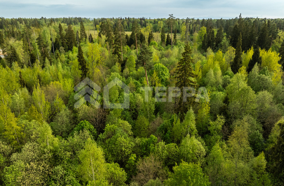 Объект ID 18566 - Участок