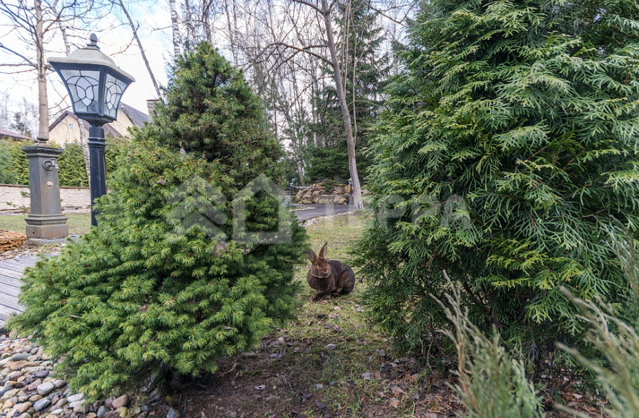 Объект ID 16058 - Дом